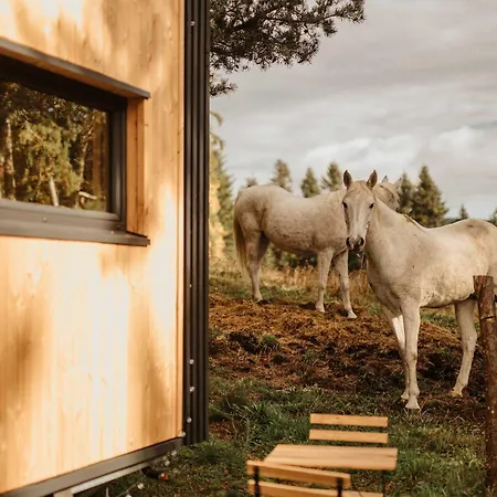 Refuge Panoramique En Haute-loire Casa de Férias Saint-Julien-Molhesabate