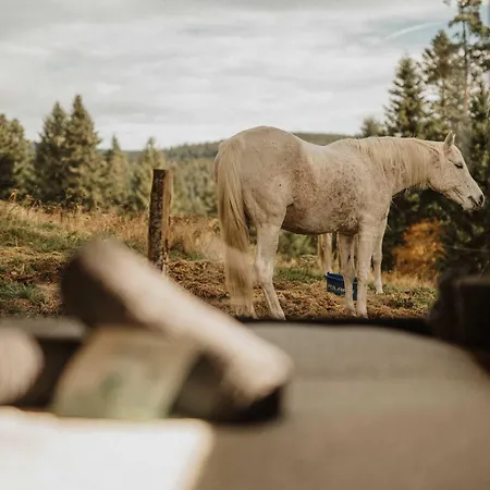 Refuge Panoramique En Haute-loire Casa de Férias *