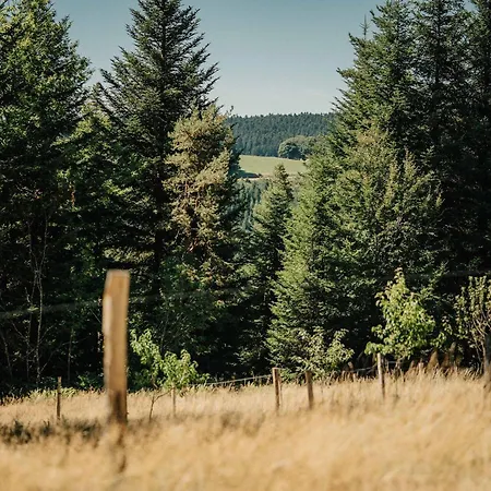 Refuge Panoramique En Haute-loire Saint-Julien-Molhesabate