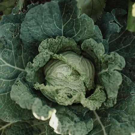 Refuge Panoramique En Haute-loire Saint-Julien-Molhesabate