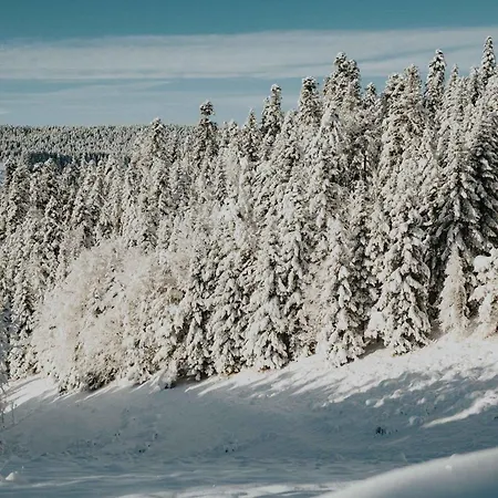Casa de Férias Refuge Panoramique En Haute-loire *